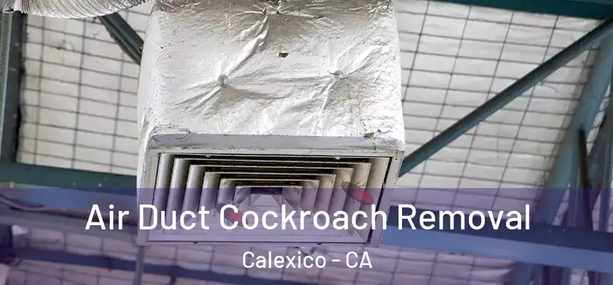 Air Duct Cockroach Removal Calexico - CA