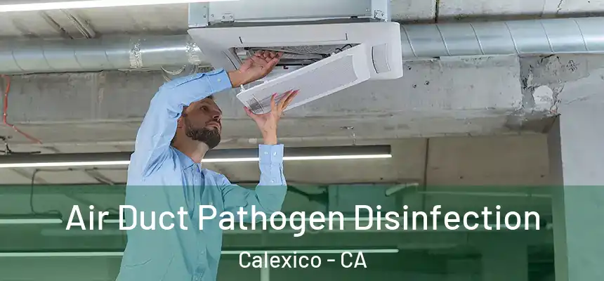 Air Duct Pathogen Disinfection Calexico - CA