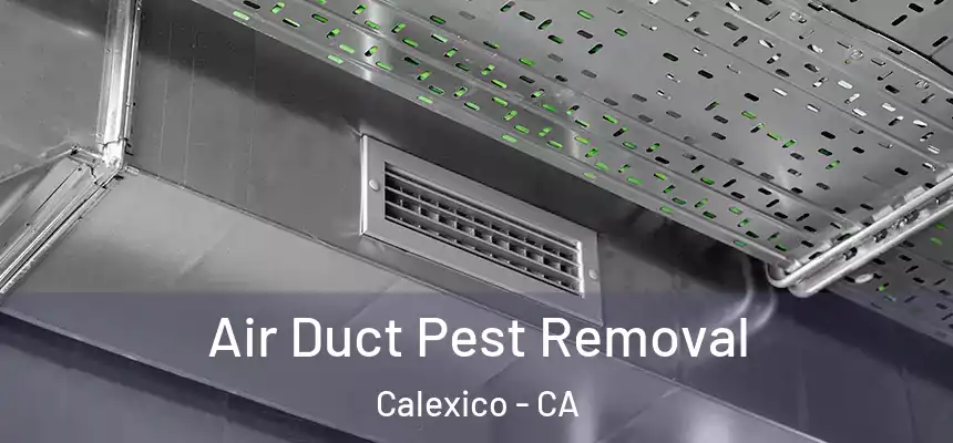 Air Duct Pest Removal Calexico - CA