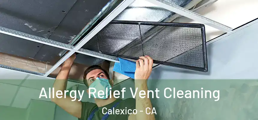 Allergy Relief Vent Cleaning Calexico - CA