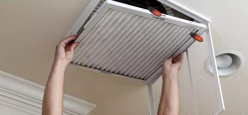 Preventive Cockroach-Proofing for Ducts in Calexico