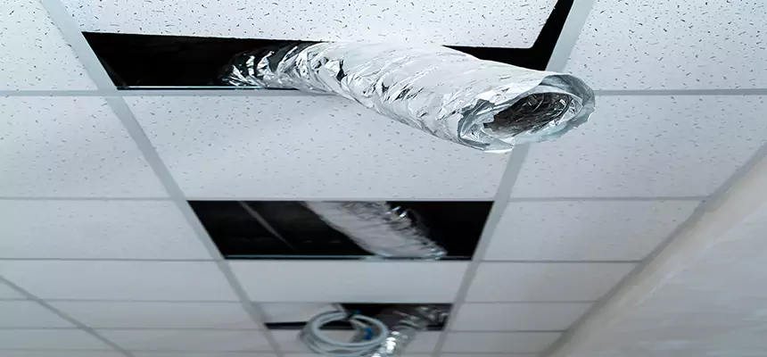 Our Air Duct Pet Hair Removal Services in Calexico, CA