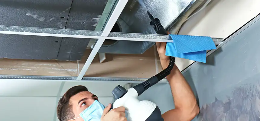Our Air Duct Rodent Removal Services in Calexico, CA