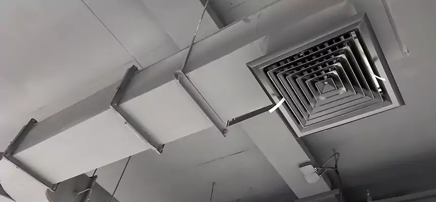 Restorative Allergy Relief Vent Cleaning – Coil, Blower & Housing Detail in Calexico