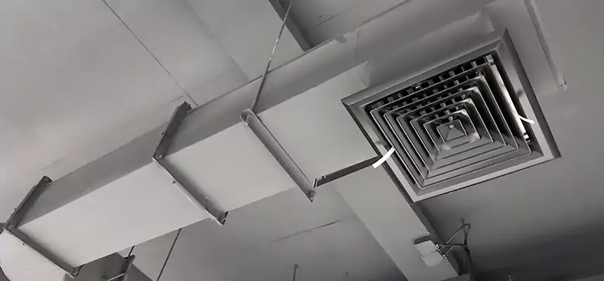 Our Pest Removal From Ducts Services in Calexico, CA