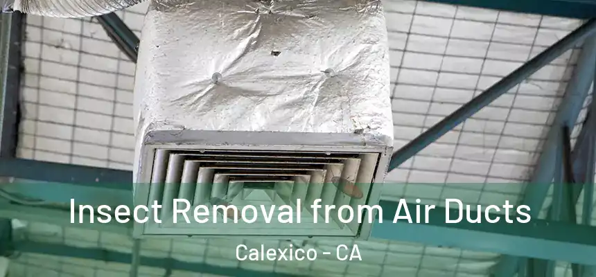  Insect Removal from Air Ducts Calexico - CA