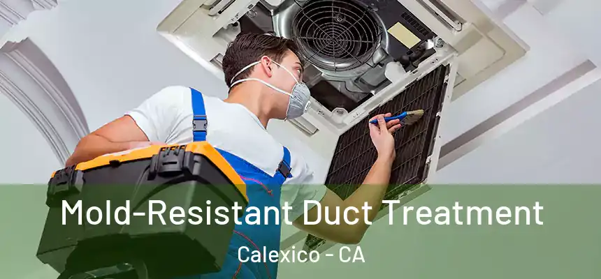  Mold-Resistant Duct Treatment Calexico - CA