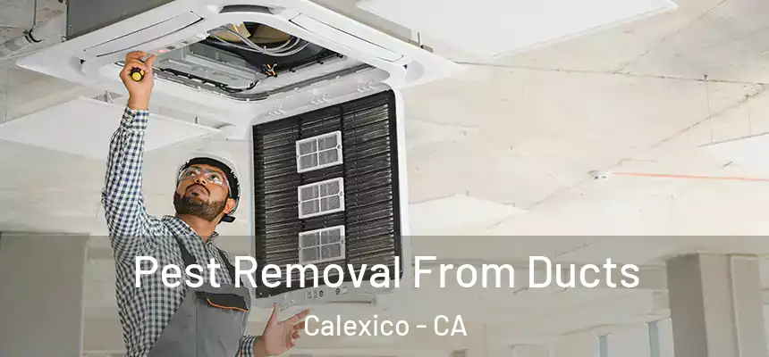  Pest Removal From Ducts Calexico - CA