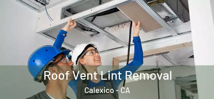 Roof Vent Lint Removal Calexico - CA