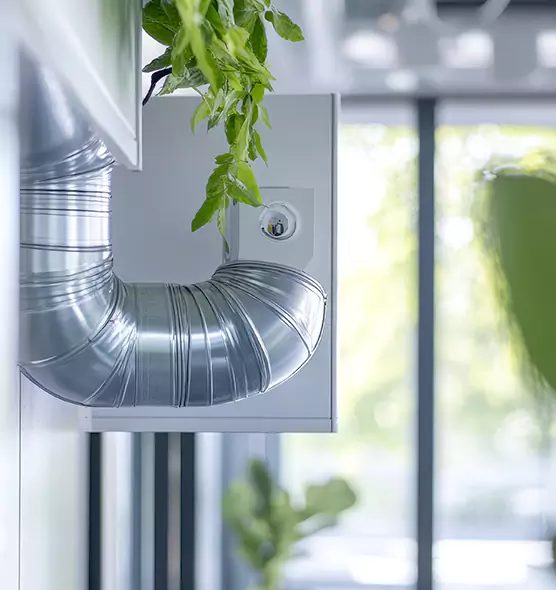 Professional Eco-Friendly Duct Cleaning Services in Calexico, CA