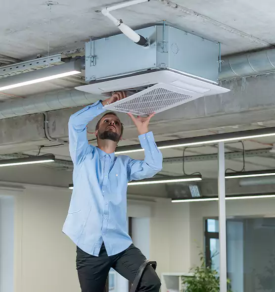 Advanced Rodent Droppings In Vents in Calexico, CA