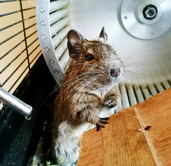 Why Homeowners & Businesses Trust Us Calexico, CA?