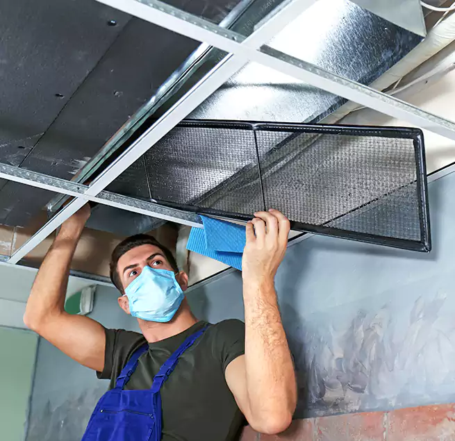 Why Homeowners Businesses Trust Us in Calexico, CA